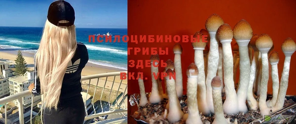 a pvp Зеленокумск