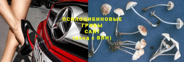 a pvp Зеленокумск