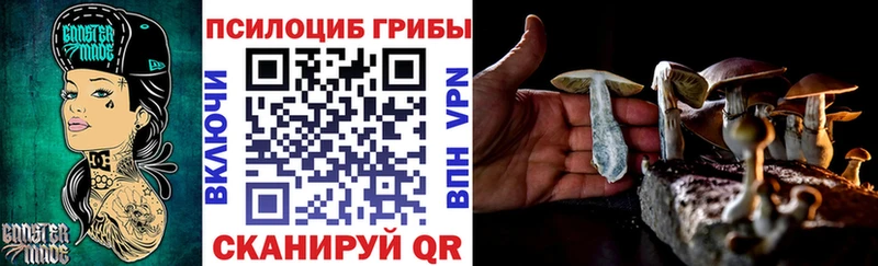 Купить где  Касимов  Псилоцибиновые грибы Psilocybine cubensis 